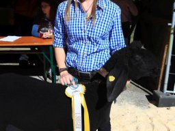 2019_ausstellung polling_374